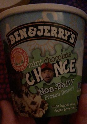 Mint Chocolate Chance Non-Dairy Frozen Dessert Loaded With Fudge Brownies, Mint Chocolate Chance