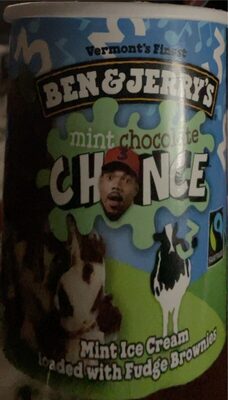 Mint Chocolate Chance Mint Ice Cream Loaded With Fudge Brownies, Mint Chocolate Chance