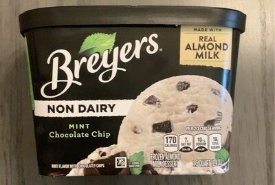 Mint Chocolate Chip Mint Flavored Non Dairy Frozen Almond Milk Dessert With Chocolatey Chips, Mint Chocolate Chip