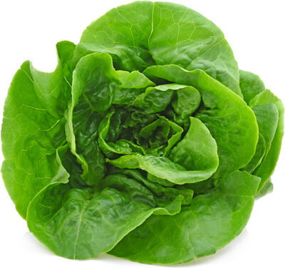 Butter Lettuce, Butter