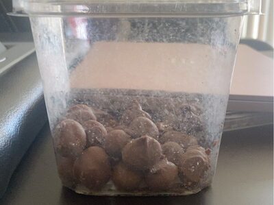 Double Dipped Milk Chocolate Peanuts, Double Dipped Milk Chocolate