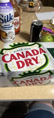 Zero Sugar Ginger Ale