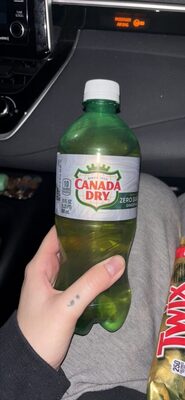 Zero Sugar Ginger Ale, Ginger