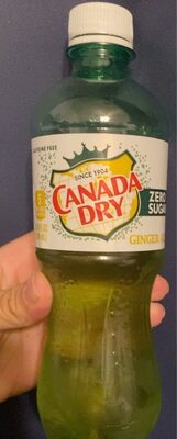 Zero Sugar Ginger Ale