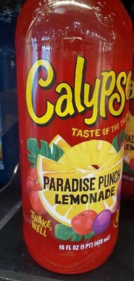 Paradise Punch  Lemonade