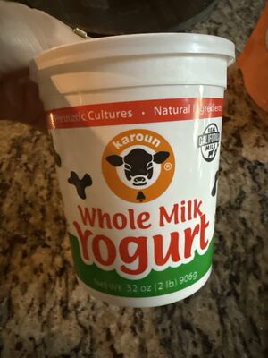 Plain Yogurt, Plain