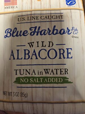 Wild Albacore Tuna In Water