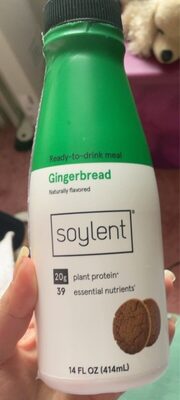 Gingerbread Drink Meal, Gingerbread