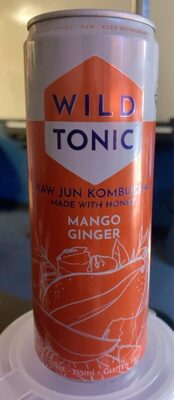 Mango Ginger Raw Jun Kombucha, Mango Ginger