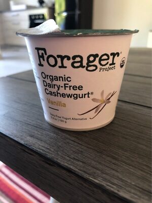 Vanilla Bean Organic Dairy-Free Probiotic Cashewmilk Yogurt Plant-Based Yogurt Alternative, Vanilla Bean