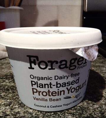 Vanilla Bean Organic Dairy-Free Plant-Based Protein Yogurt Coconut & Cashew Yogurt Alternative, Vanilla Bean
