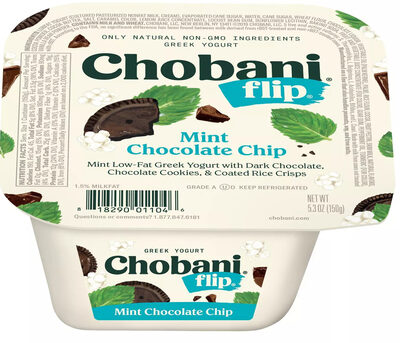 Mint Chocolate Chip Greek Yogurt, Mint; Chocolate Chip