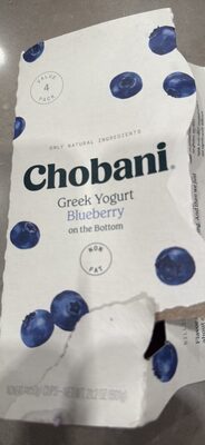 Blueberry On The Bottom Nonfat Greek Yogurt, Blueberry