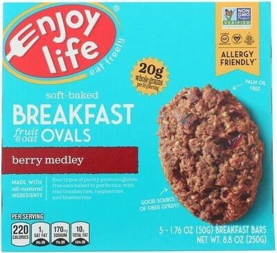 Berry Medley Cranberries, Raspberries, Blueberries Soft Baked Fruit & Oat Breakfast Ovals Bars, Berry Medley