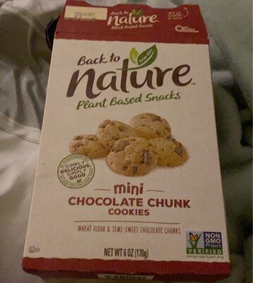 Chocolate Chunk Mini Cookies, Chocolate Chunk