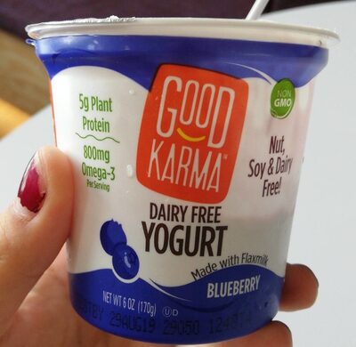 Blueberry Dairy Free Yogurt, Blueberry