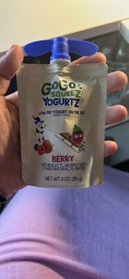 Berry Low Fat Yogurt On The Go Yogurtz, Berry