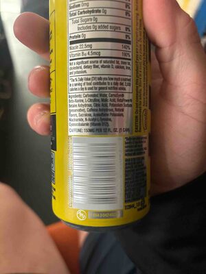 Zero Sugar Performance Energy Drink, Original, Original