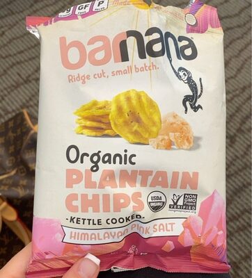 Himalayan Pink Salt Organic Kettle Cooked Plantain Chips, Himalayan Pink Salt