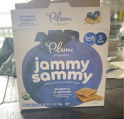 Snack Size Sandwich Bar, Blueberry & Oatmeal