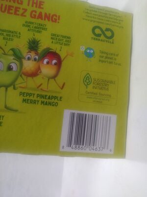 Gogo Big Squeez Fruit On The Go, 4.2 Oz, 10 Count, Apple; Raspberry