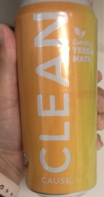 Peach Sparkling Yerba Mate Beverage, Peach