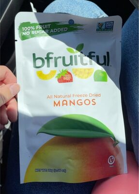 All Natural Freeze Dried Mangos