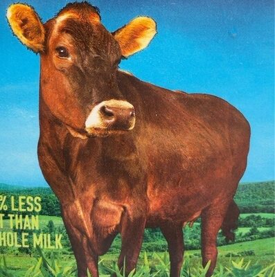 Organic Reduced Fat Sugar Free Ultra-Filtered Milk