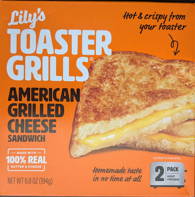 Toaster Grills Grilled American Cheese Sandwich