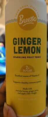 Ginger Lemon Sparkling Fruit Tonic, Ginger; Lemon