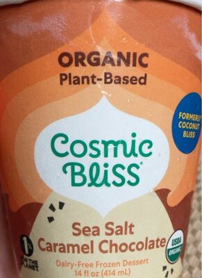 Sea Salt Caramel Chocolate Organic Plant-Based Dairy-Free Frozen Dessert, Sea Salt Caramel Chocolate