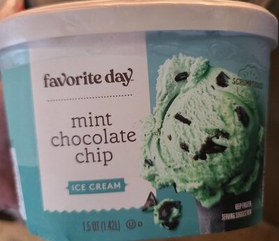 Mint Chocolate Chip Ice Cream, Mint Chocolate Chip