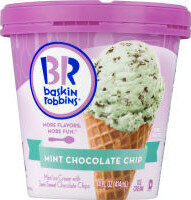 Mint Chocolate Chip Ice Cream, Mint Chocolate Chip