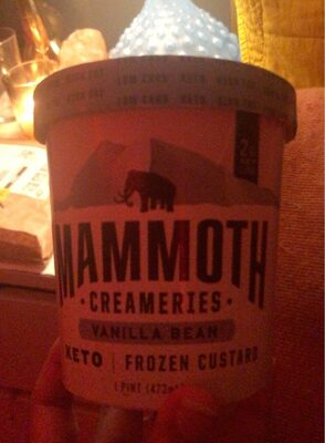 Vanilla Bean Keto Frozen Custard, Vanilla Bean