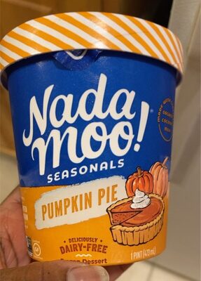 Pumpkin Pie Dairy-Free Frozen Dessert