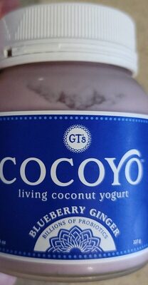 Blueberry Ginger Cocoyo Living Coconut Yogurt, Blueberry Ginger