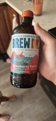 Strawberry Fields Organic Kombucha, Strawberry Fields