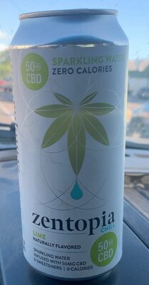 Lime Flavored Sparkling Water, Lime