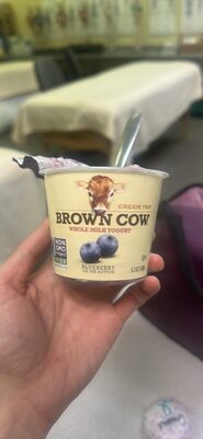Blueberry Whole Milk Yogurt, Blueberry