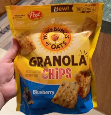 Blueberry Granola Chips Bite-Sized Sweetened Multigrain Snack, Blueberry