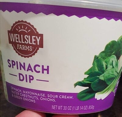 Spinach, Mayonnaise, Sour Cream, Water Chestnuts, Onions, & Green Onions Dip, Spinach