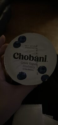 Blueberry On The Bottom Nonfat Greek Yogurt, Blueberry