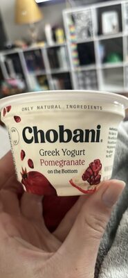 Pomegranate On The Bottom Nonfat Greek Yogurt, Pomegranate