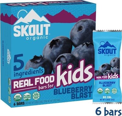 Blueberry Blast Bars, Blueberry Blast