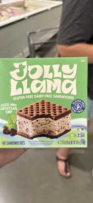 Cool Mint Chocolate Chip Sandwiches, Cool Mint Chocolate Chip