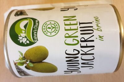 Young Green Jack Fruit