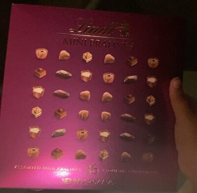 Assorted Mini Pralins Exquisite Chocolates