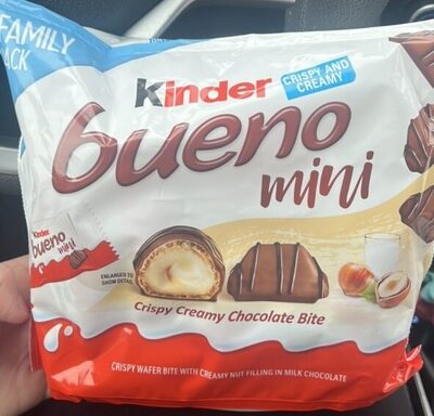 Mini Crispy Creamy Chocolate Bite
