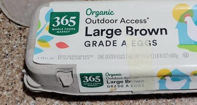 Organic Cage-Free Plus Grade A Large Brown Eggs