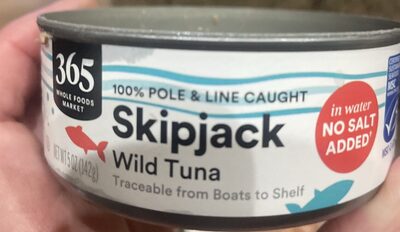Skipjack Wild Jack In Water, Skipjack